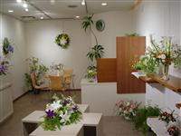 �����̉ԓW