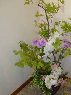 ���Ẵt�����[�A�����W�����g