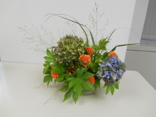 �H�F�����������g����