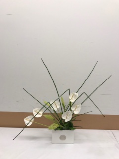 7���̃A�����W