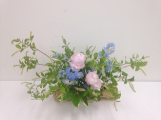 5���̃A�����W�����g