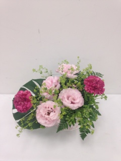 5���̃A�����W�����g