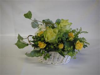 �v���[���g�̉�