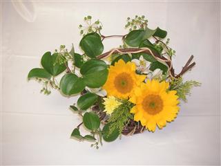 ���Ẵt�����[�A�����W�����g