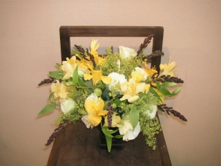 �t�̃t�����[�A�����W�����g