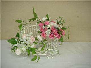 �t�̃A�����W�����g