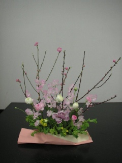 �ЂȍՂ�̃A�����W�����g