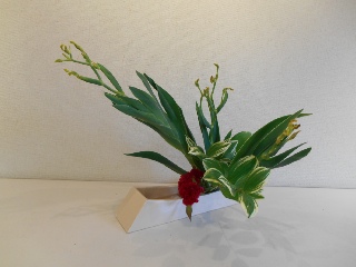 �������̂����΂�