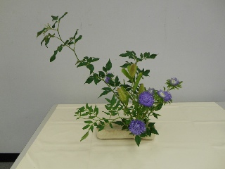 ���Ă̂����΂�