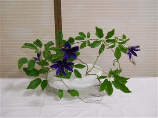 7���̂����΂�