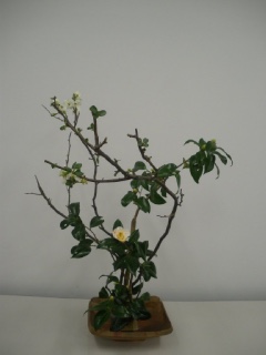 12���̂����΂�