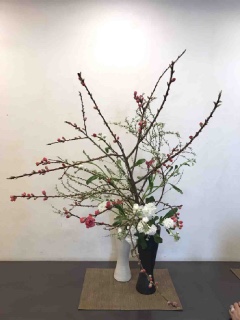 ���̐ߋ�̂����΂�