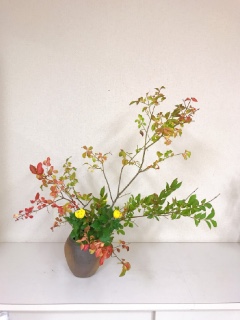 �H�̂����΂�