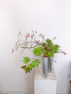 �H�̂����΂�