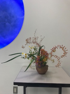 11���̘a�ԃ��b�X��