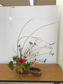 11���̂����΂�