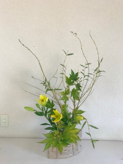 11���̂����΂�