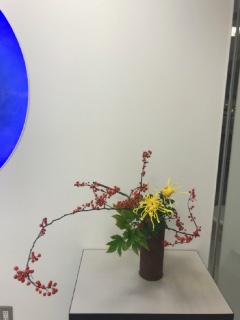 11���̘a�ԃ��b�X��