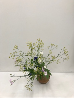 11���̂����΂�