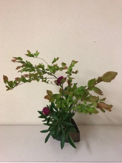 6���̂����΂�