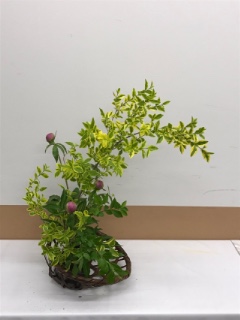 6���̂����΂�