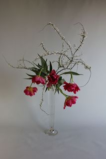 �t�̂����΂�