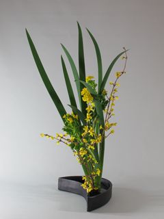 �t�̂����΂�