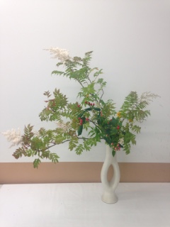 �Ă̂����΂�