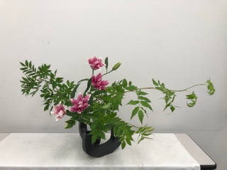 �Ă̂����΂�