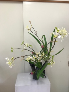 �Ă̂����΂�