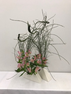 1���̂����΂�