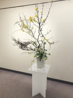 �t�̂����΂�