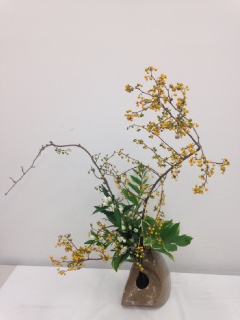 8���̂����΂�