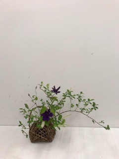 NHK�����Z���^�[ �a�ԃ��b�X��