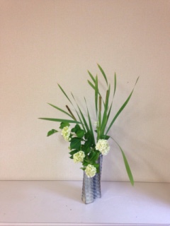 6���̂����΂�