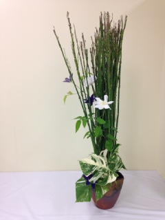 6���̂����΂�