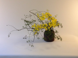 �H�̂����΂�