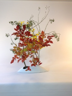 �H�̂����΂�