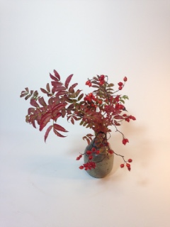 �H�̂����΂�