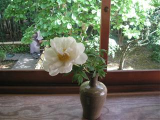 �ޗǐ��R��