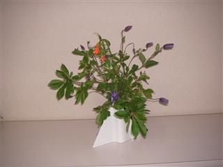 ���Ă̂�����