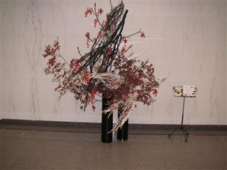 ���r�[�̉ԁi2010�N10���j