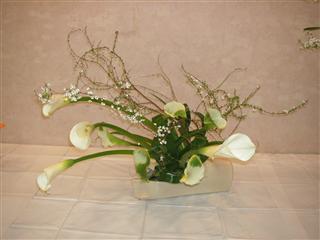 �Ă̂����΂�