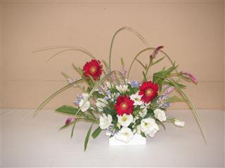 8���̃A�����W�����g