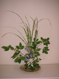 6���̂����΂�