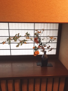 �H�̂����΂�