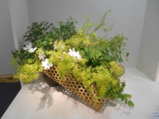 ���{�����΂Ȍ|�p����W(2013�N5��)