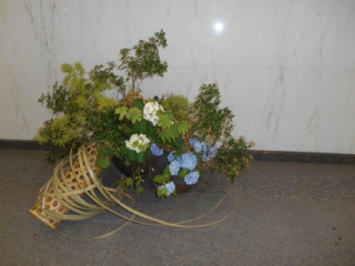 ���r�[�̉�(2013�N5��)