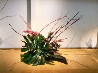 �{�����e�B�A�̉ԁ@���l�s����