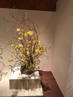 2017�N3�� �ԓW